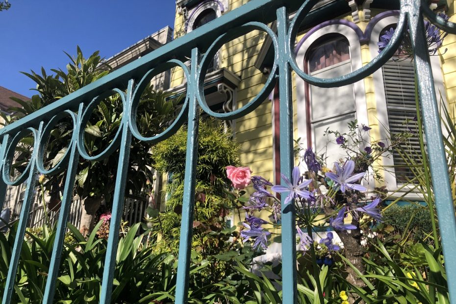 Flowers behind an iron fence.