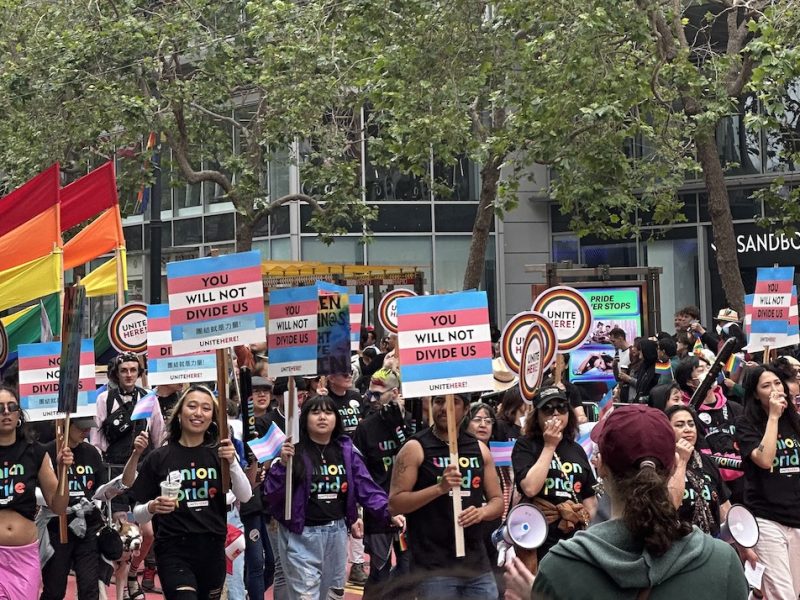 trans flag posters at Pride march