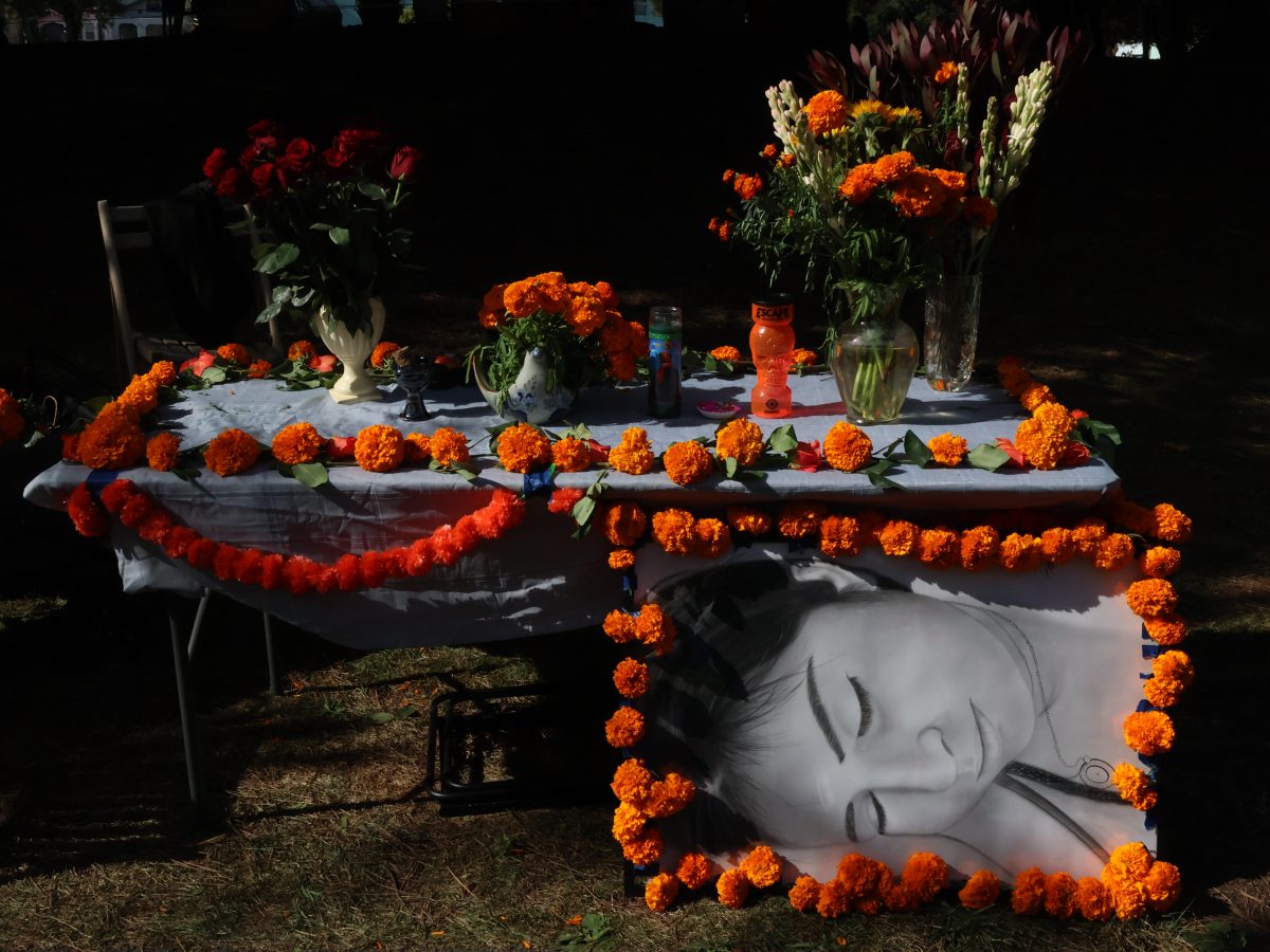 Día de los Muertos in the Mission: Altars, procession and exhibitions 