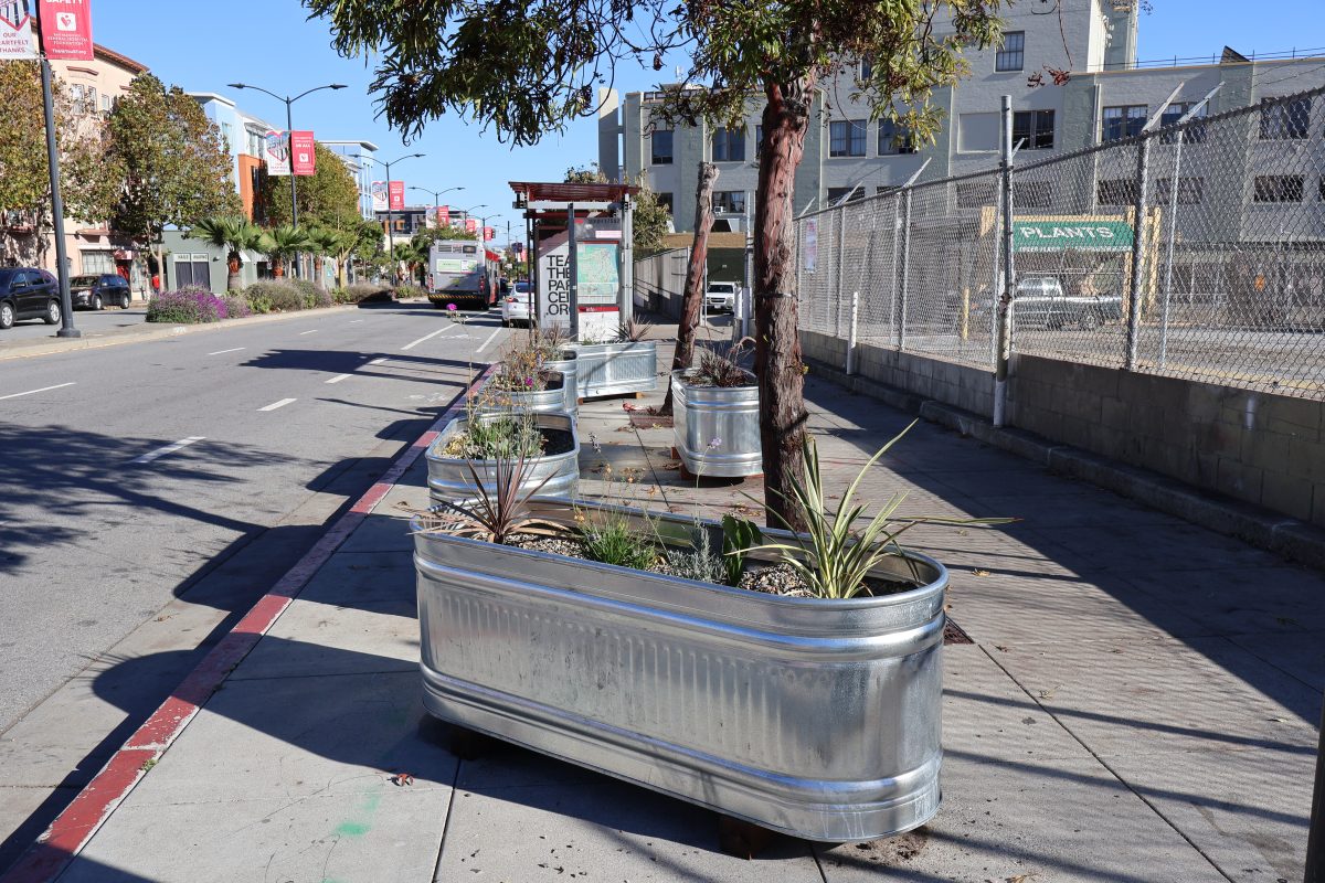 A planter on the side of a sidewalk.