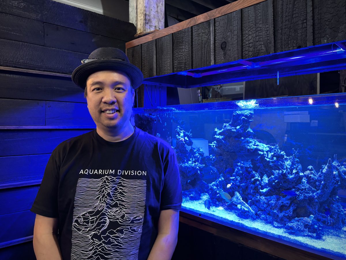 People We Meet: Creating beauty in a world of ugliness, one aquarium at a time