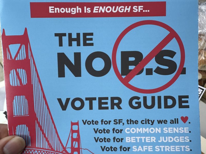The "No B.S. Voter Guide" cover