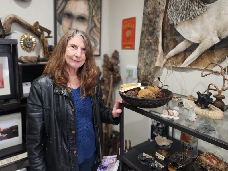 People We Meet: Climate artist Jane Willson