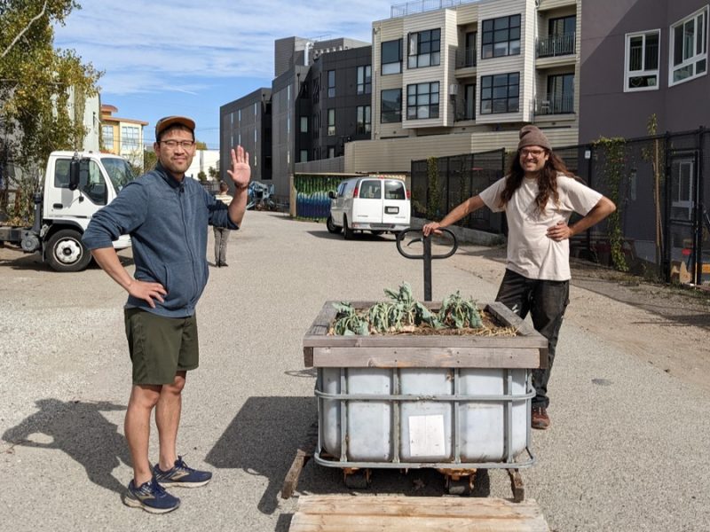 Mission Greenway putting plants in Parcel 36