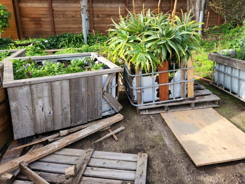 Damaged containers filled with plants.