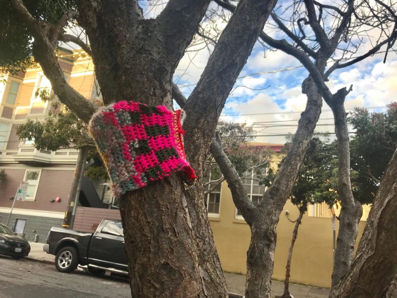 A section of a tree in san francisco is wrapped in crocheted yarn.