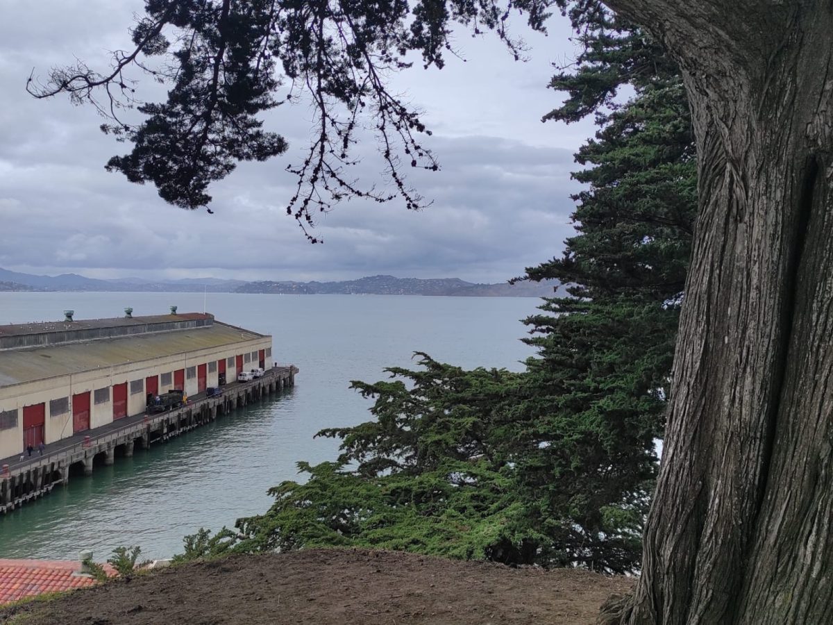 Paisaje de la bahía de San Francisco, California