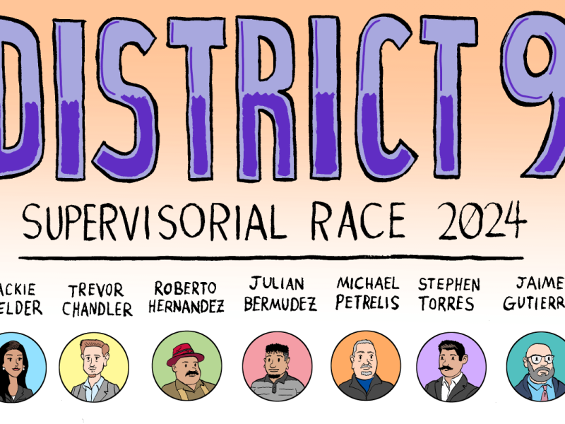 District 9 supervisory race 2024.