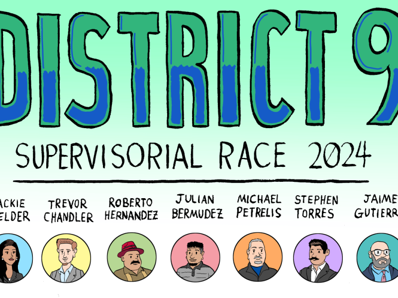 District 9 supervisory race 2024.