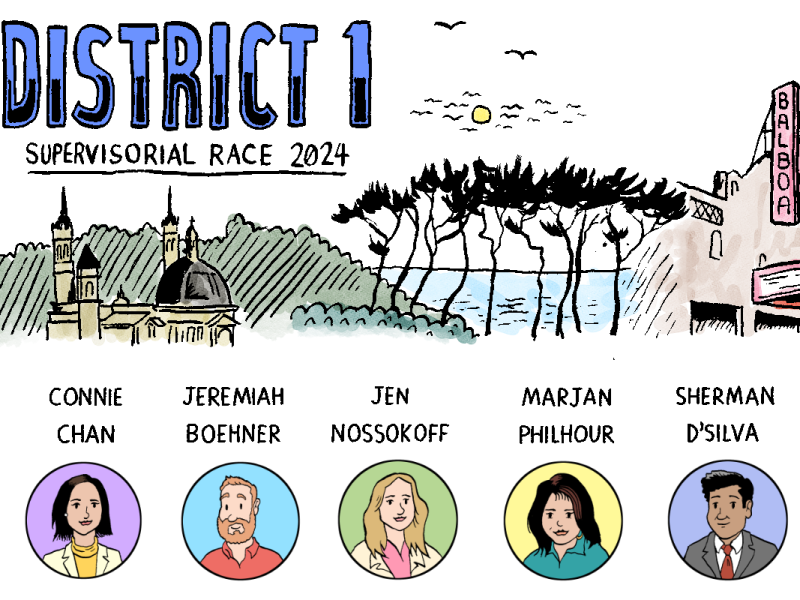 An illustration of District 1 supervisor candidates