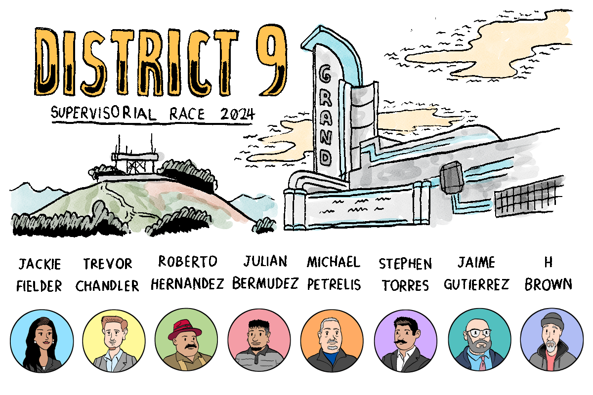 District 9 supervisory race 2024.