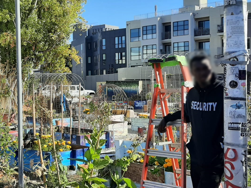 A man standing on a ladder next to a garden.