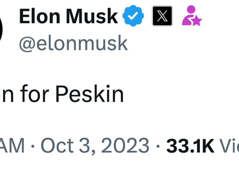 Tweet from Elon Musk reading "Prison for Peskin."
